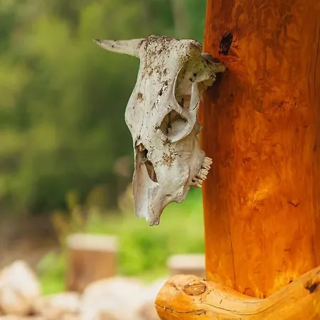 Maringotka Pri Potoku - Zazitkove - 2 Os * Vernár